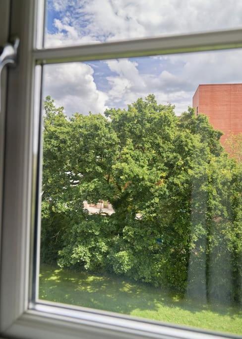 Stunning Luxury 2 Bed Apartment With En-Suite In Wokingham City Centre Buitenkant foto